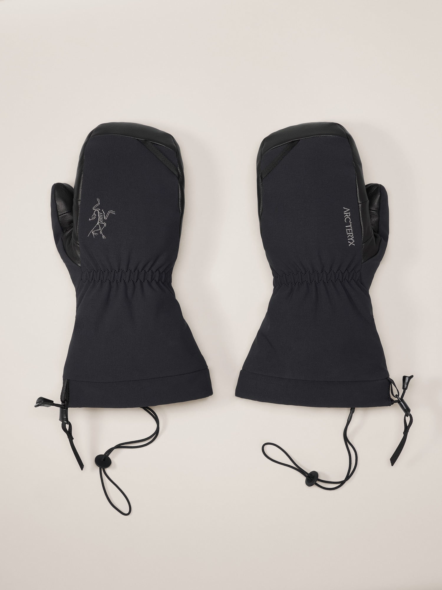 Arc'teryx Waterproof Fission SV Mitten Black