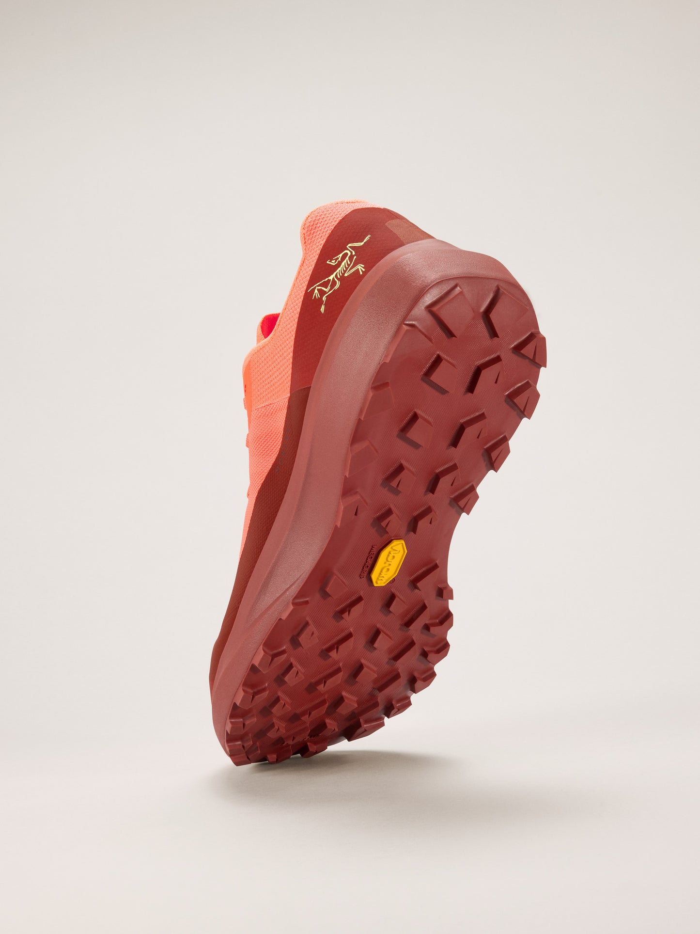 Norvan LD 4 Shoe Men's