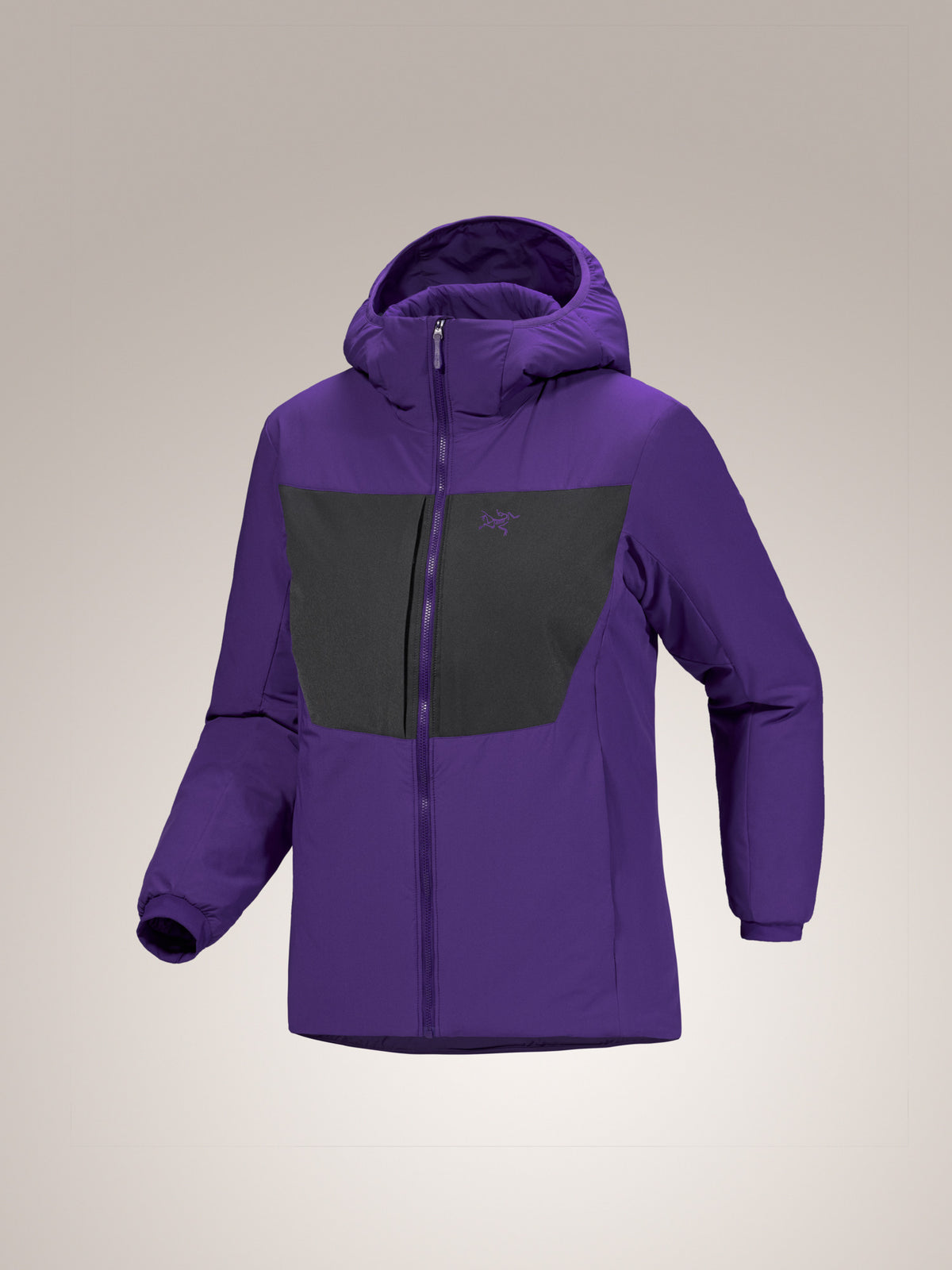 Proton Heavyweight Hoody Women's