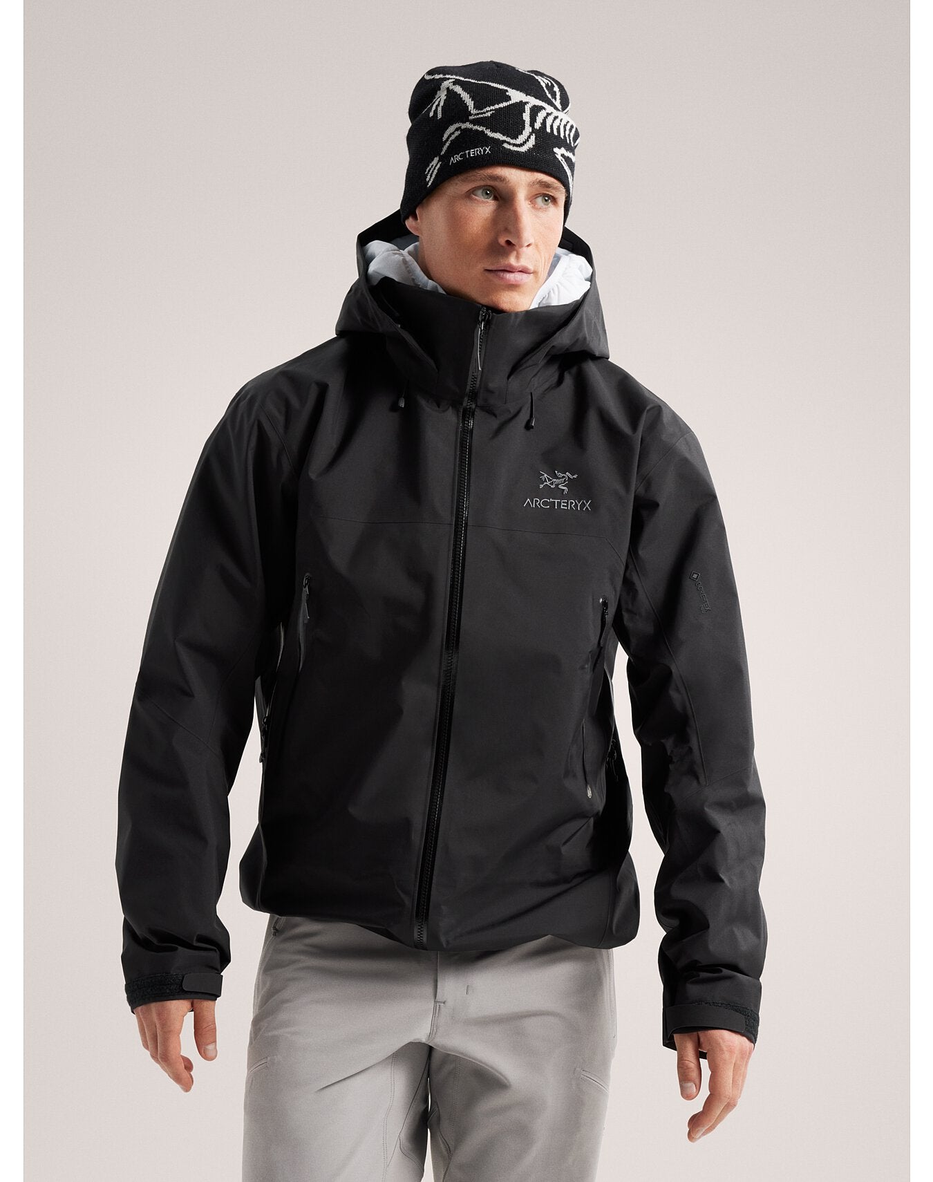 Arcteryx beta ar sale gore tex pro