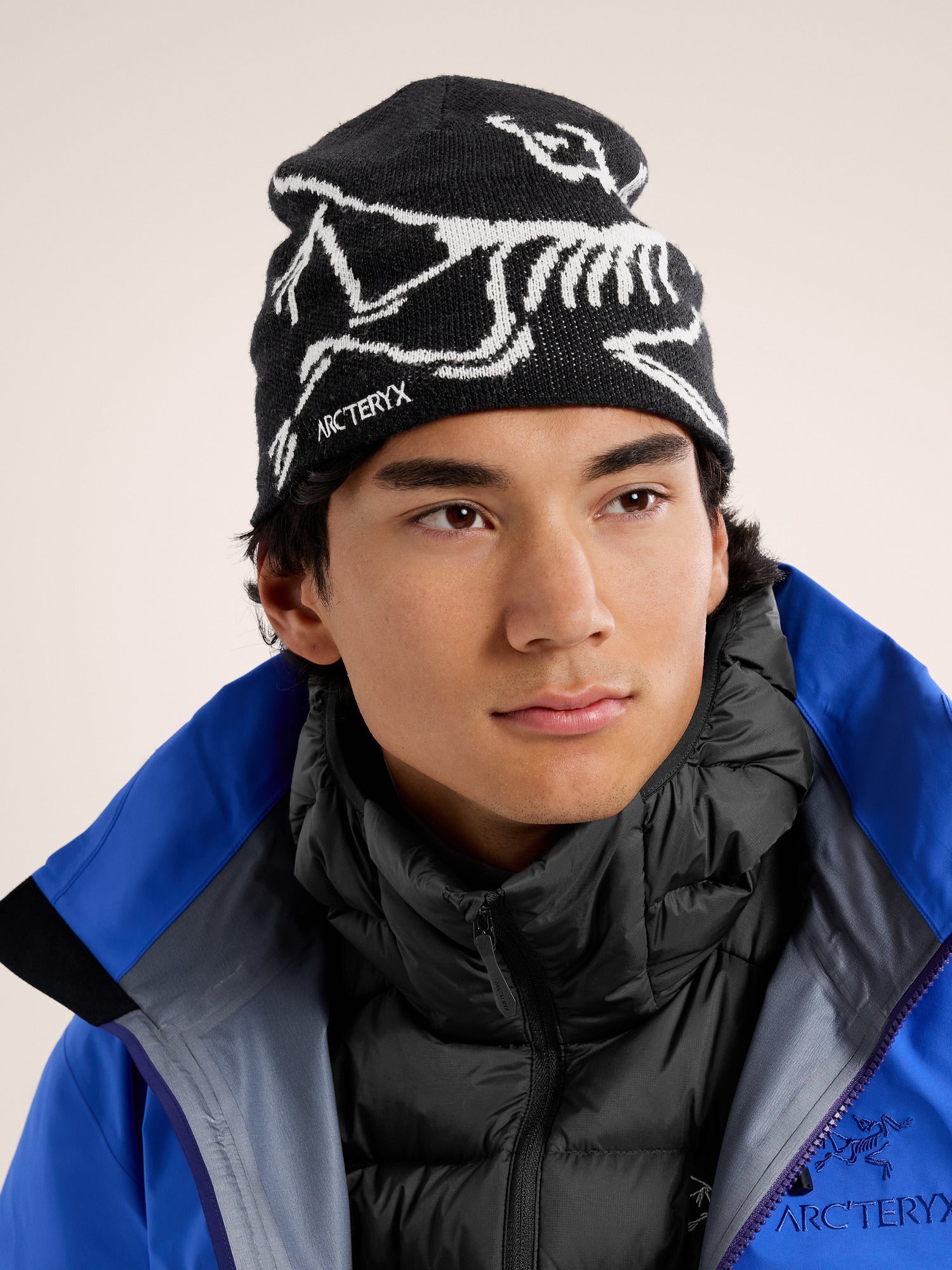 ARC'TERYX Bird Head Toque orca アークテリクス Arc'Teryx Bird Head Toque - Orca | Up There Athletics