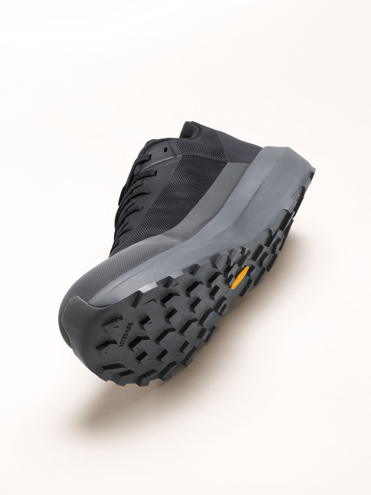 Norvan LD 4 Shoe Men's