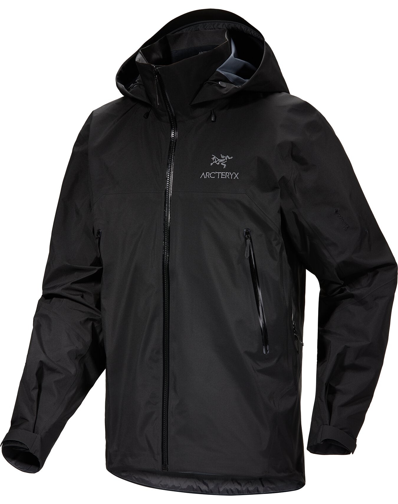 Arcteryx beta hot sale sv pilot