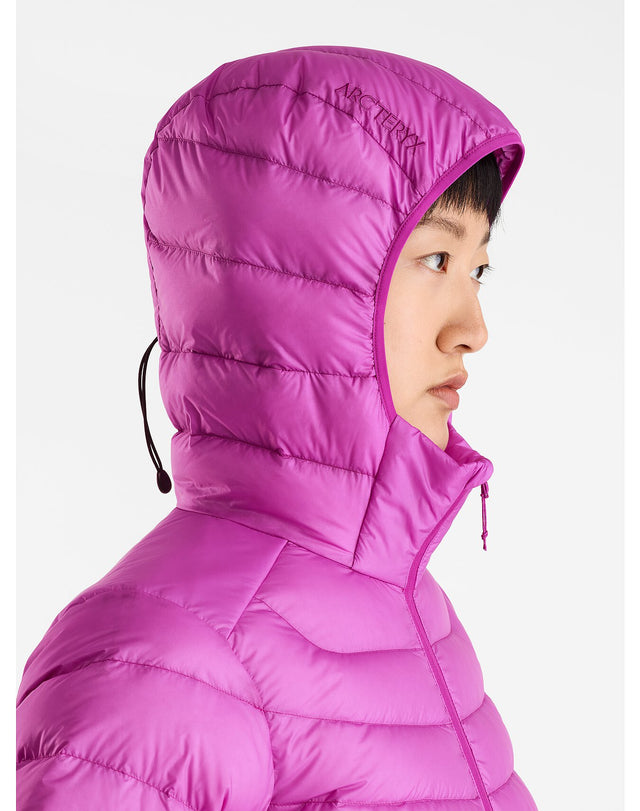 Arcteryx cerium sale sl hoody womens