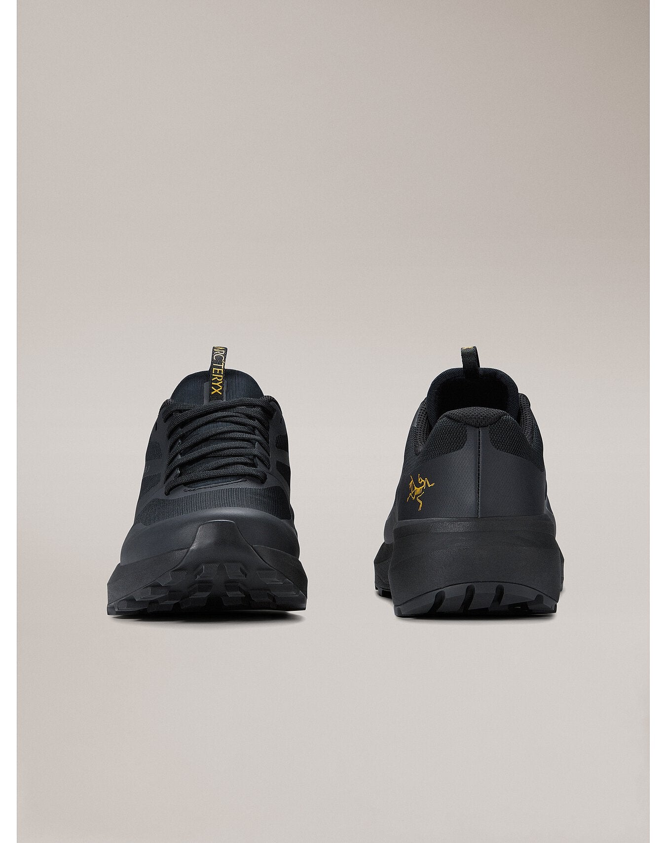 Norvan Ld 3 Shoe Women's