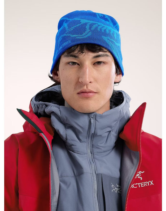 Bird Head Toque Vitality / Fluidity - Arc'teryx Australia