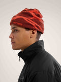 Grotto Toque Sequoia / Solaris - Arc'teryx Australia