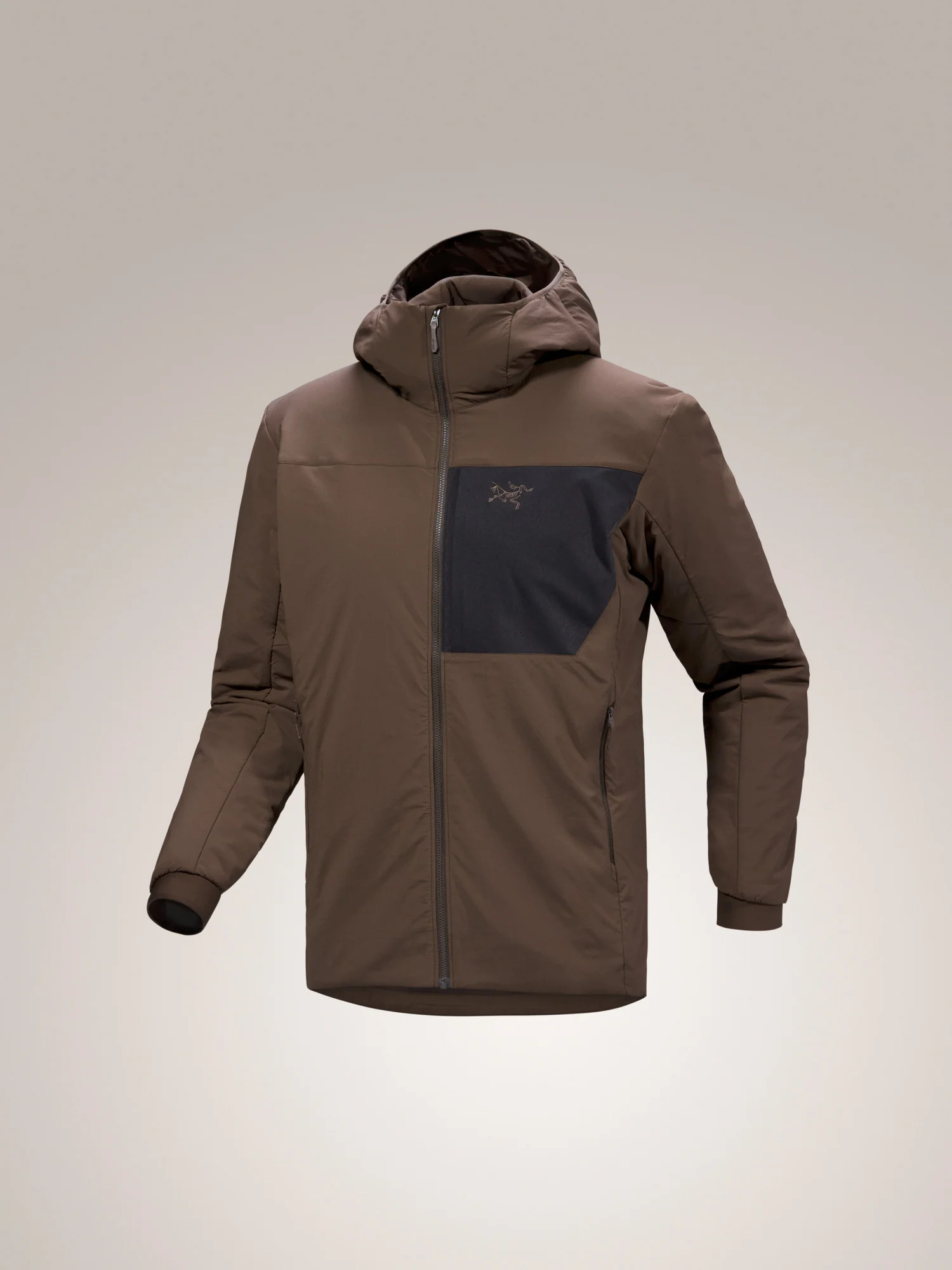 Proton Hoody Men's
