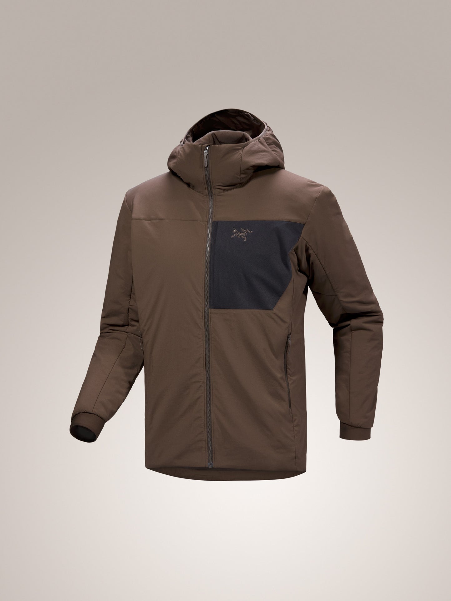 Proton Hoody Men's