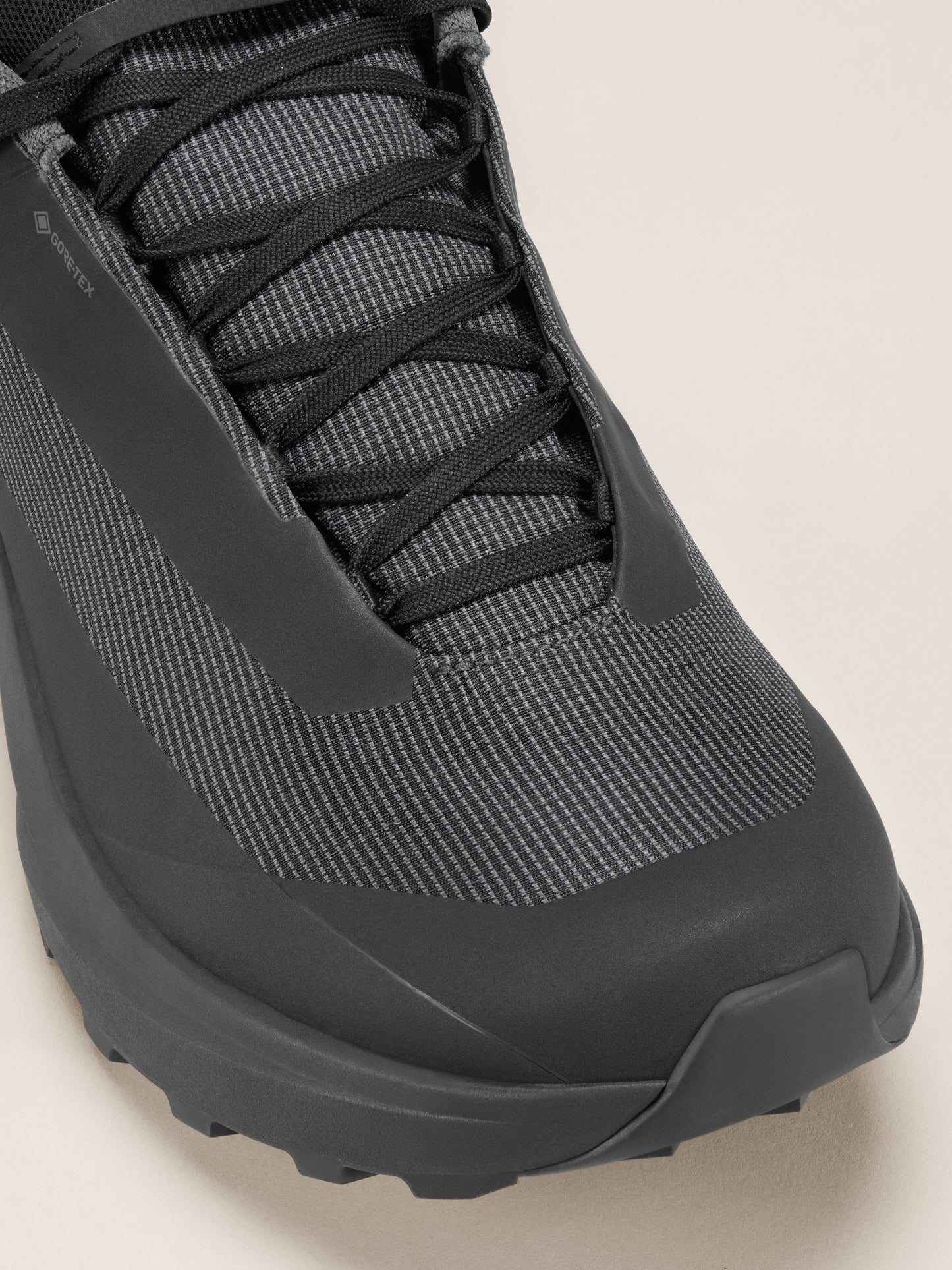 Norvan LD 4 GTX Shoe Men's