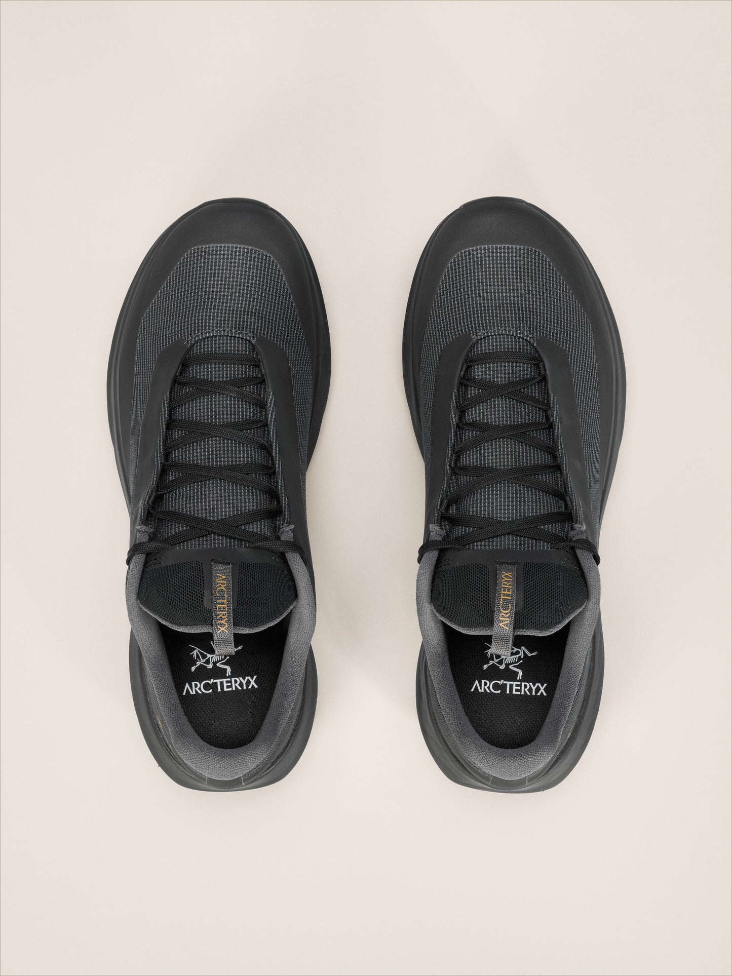 Norvan LD 4 GTX Shoe Men's