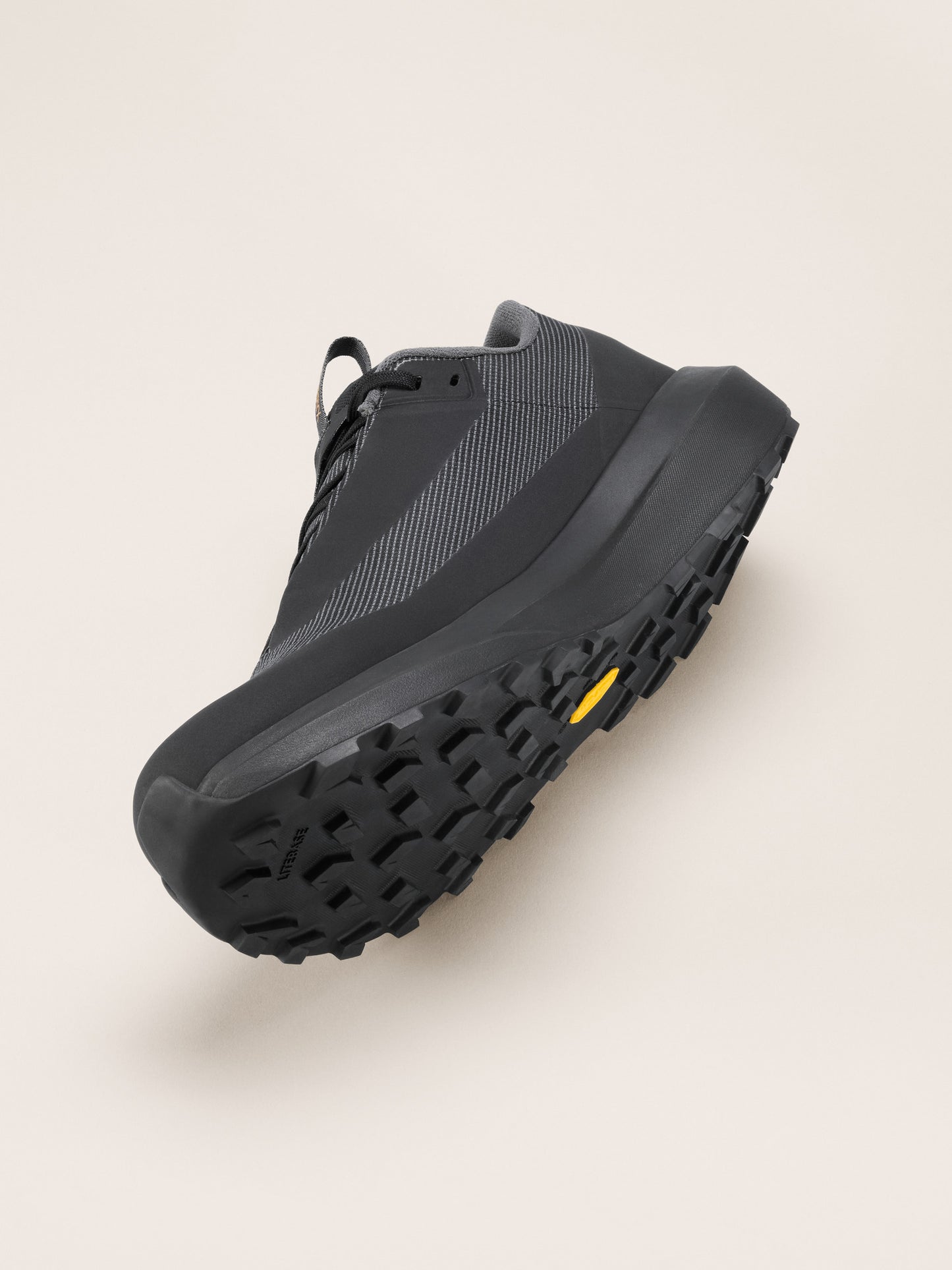 Norvan LD 4 GTX Shoe Men's