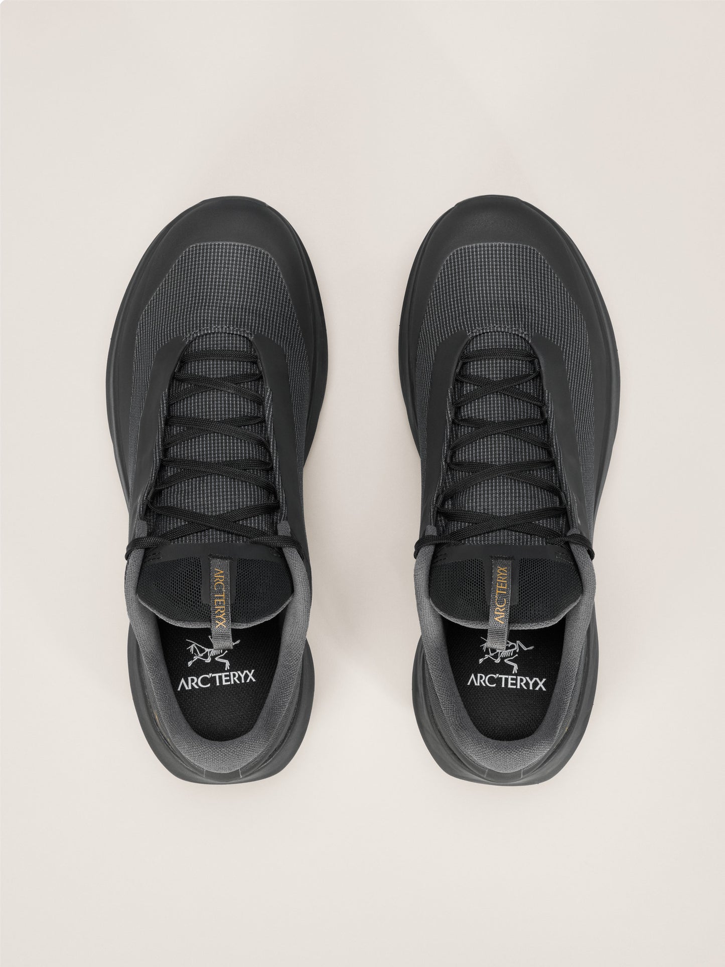 Norvan LD 4 GTX Shoe Women's