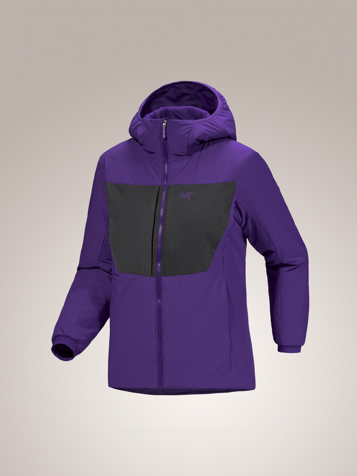 Proton Heavyweight Hoody Women's