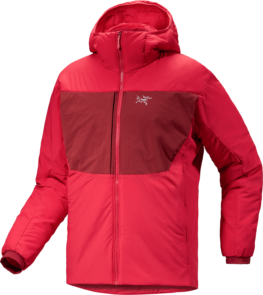 Proton Heavyweight Hoody Men's