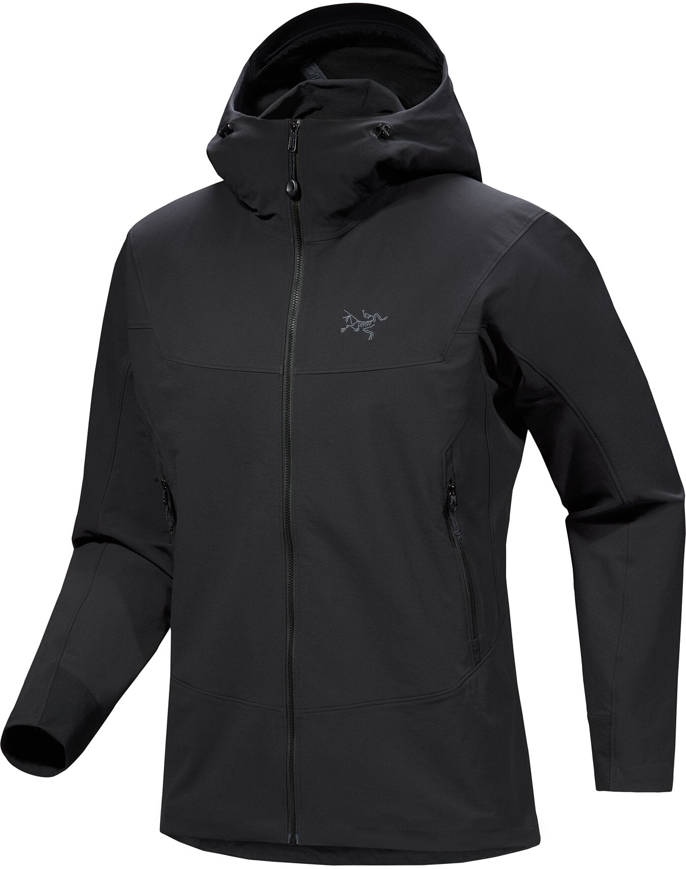 Gamma Hoody Men's