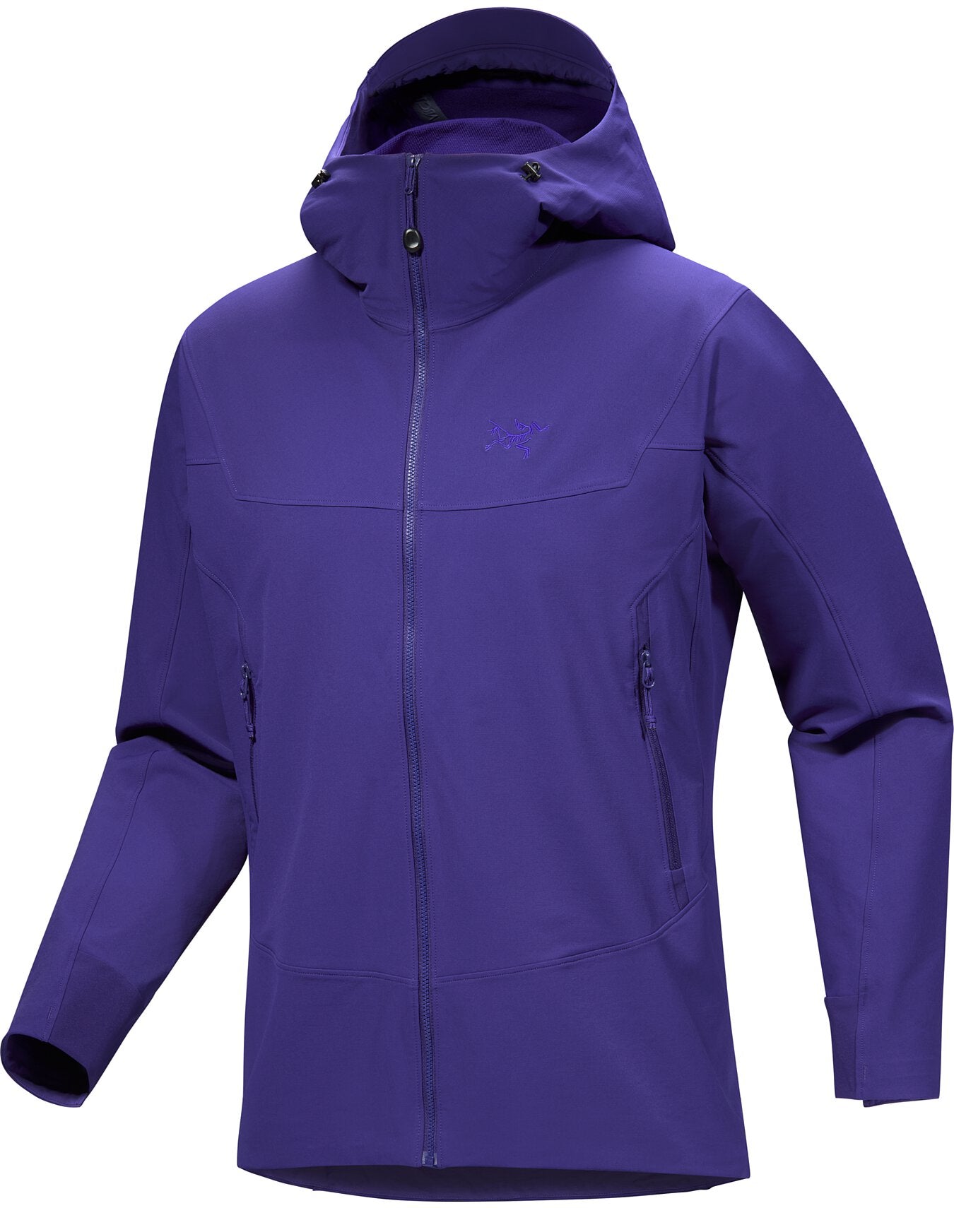Gamma Hoody Men's