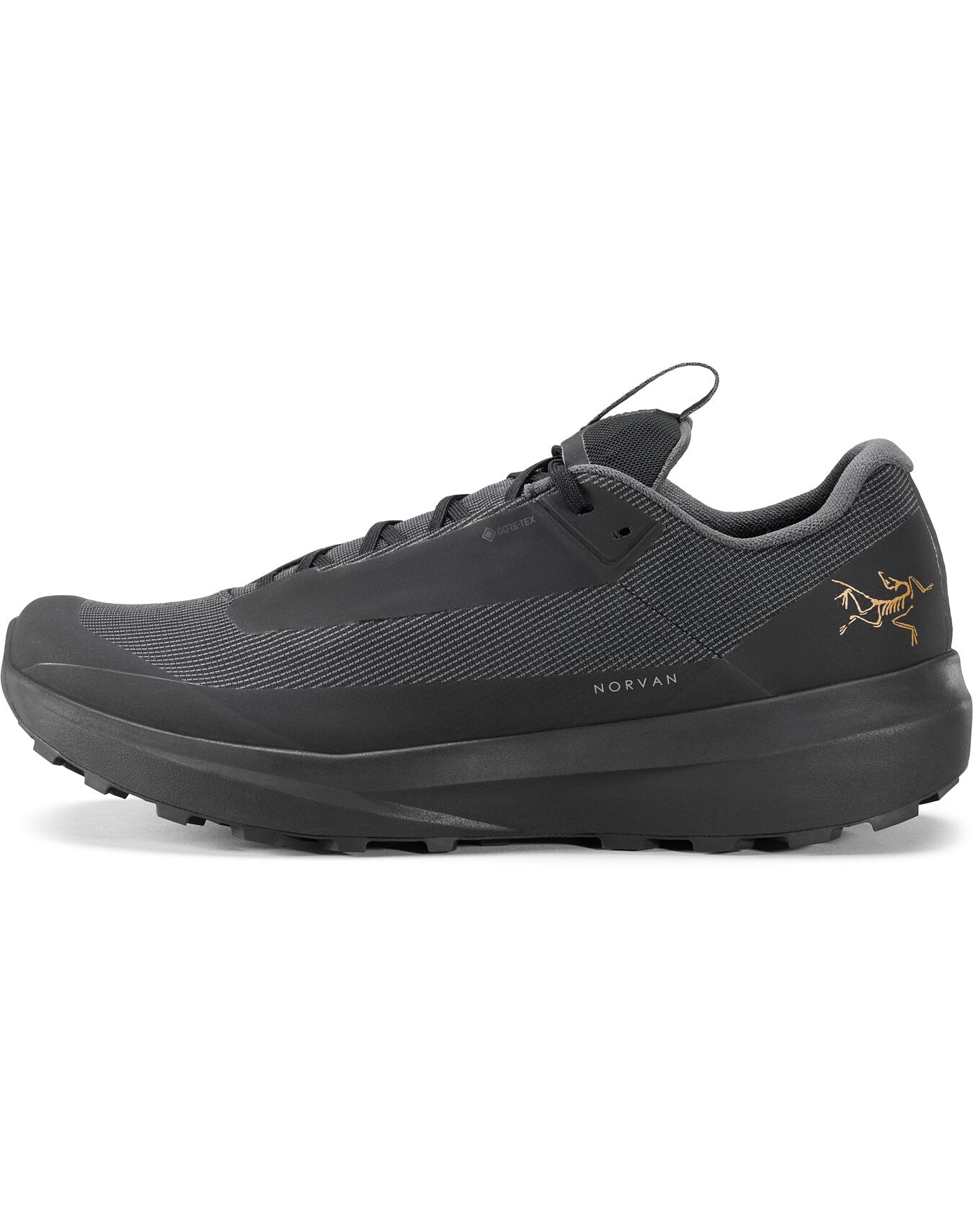 Norvan LD 4 GTX Shoe Men's