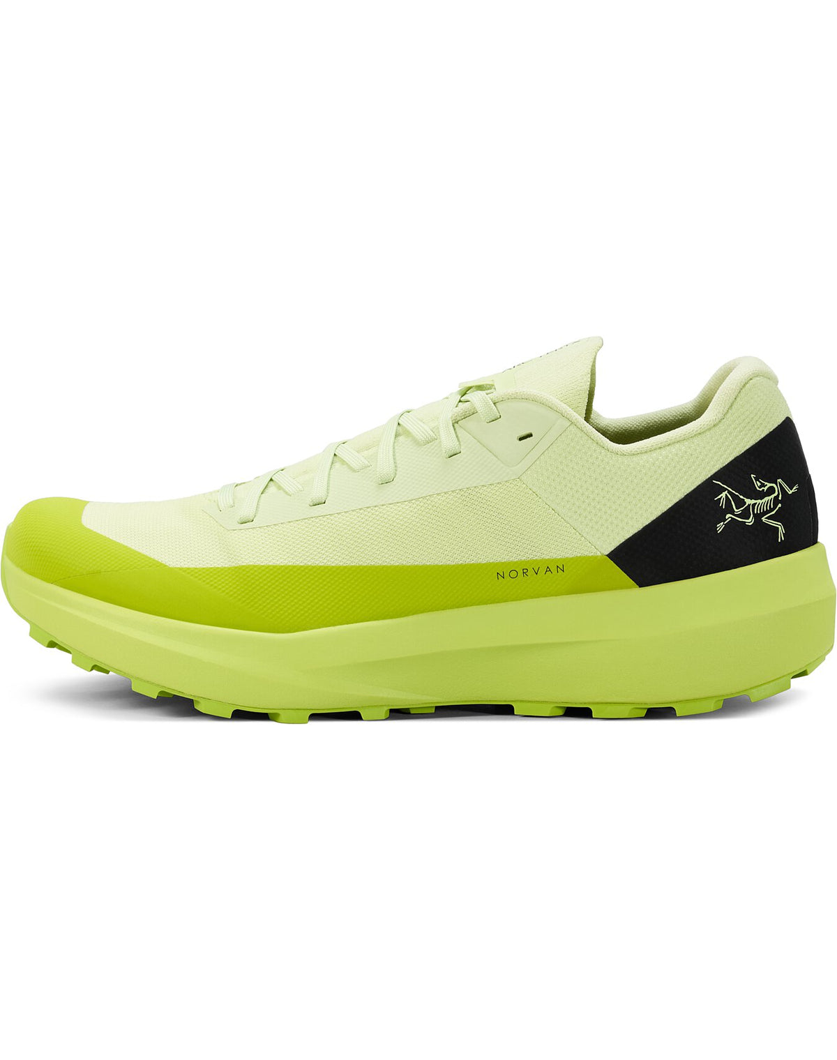 Norvan LD 4 Shoe Men's