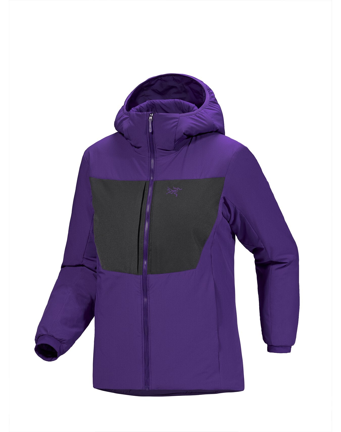 Proton Heavyweight Hoody Women's