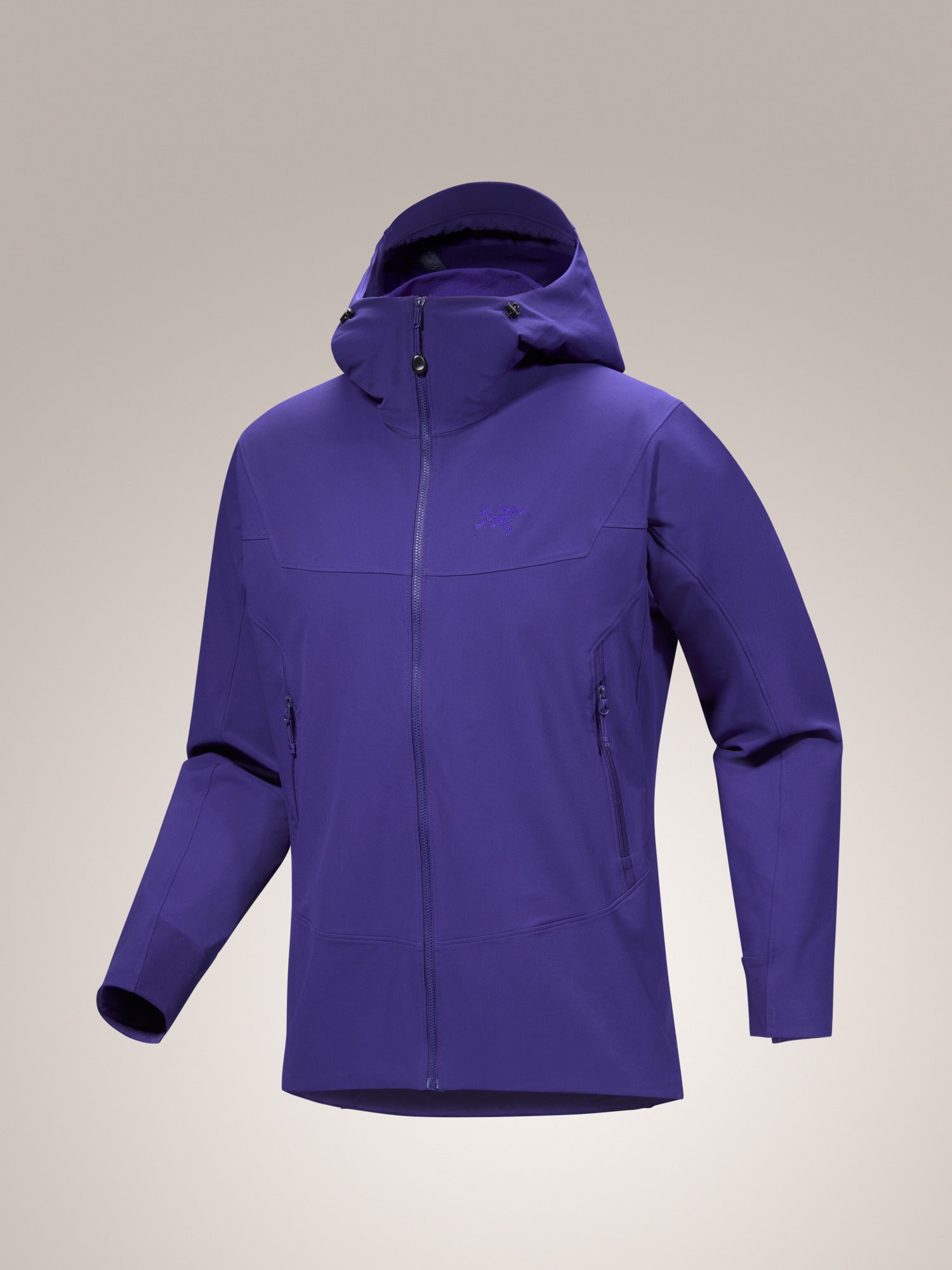 Gamma Hoody Men's