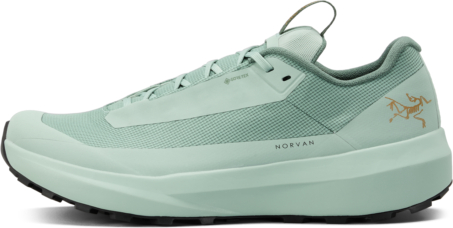 Norvan LD 4 GTX Shoe Men's