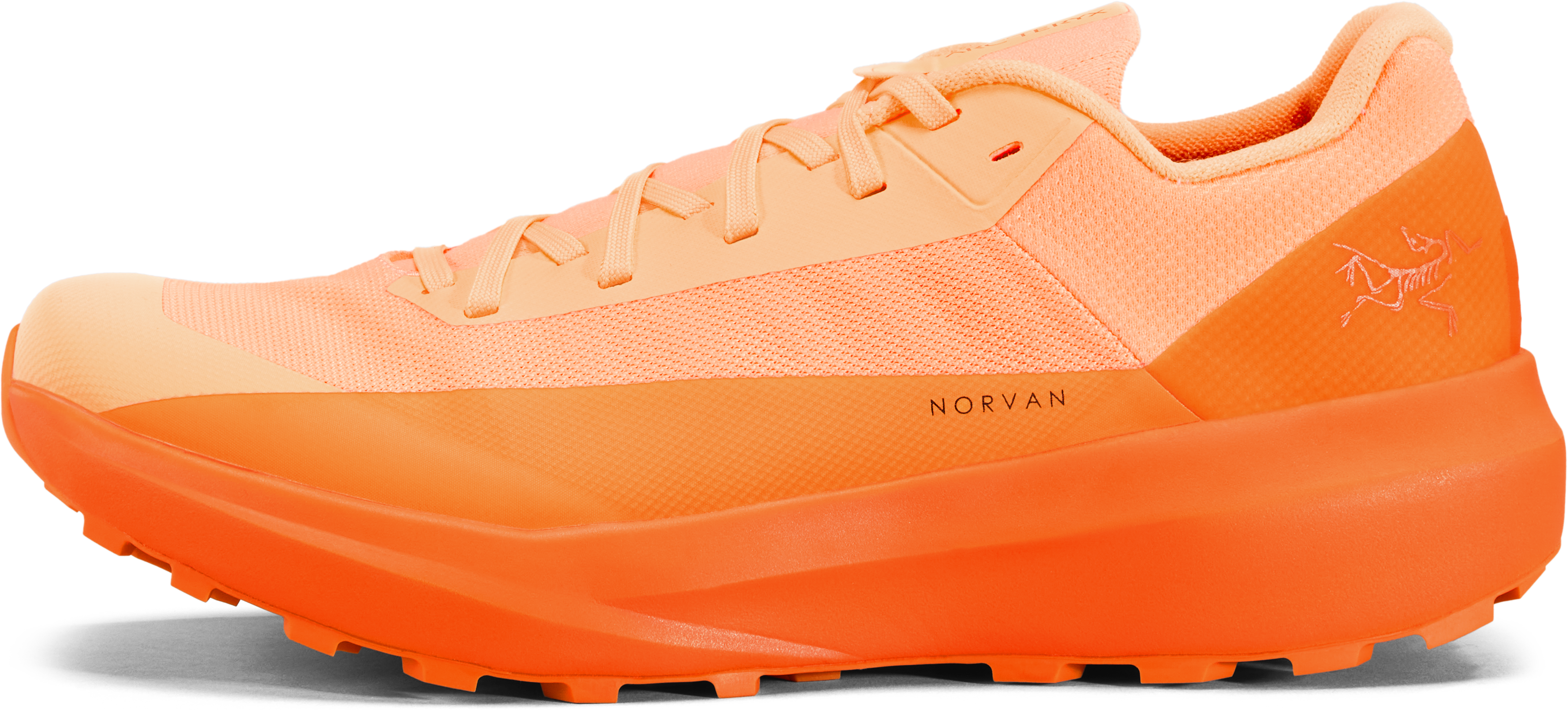Norvan LD 4 Shoe Women's