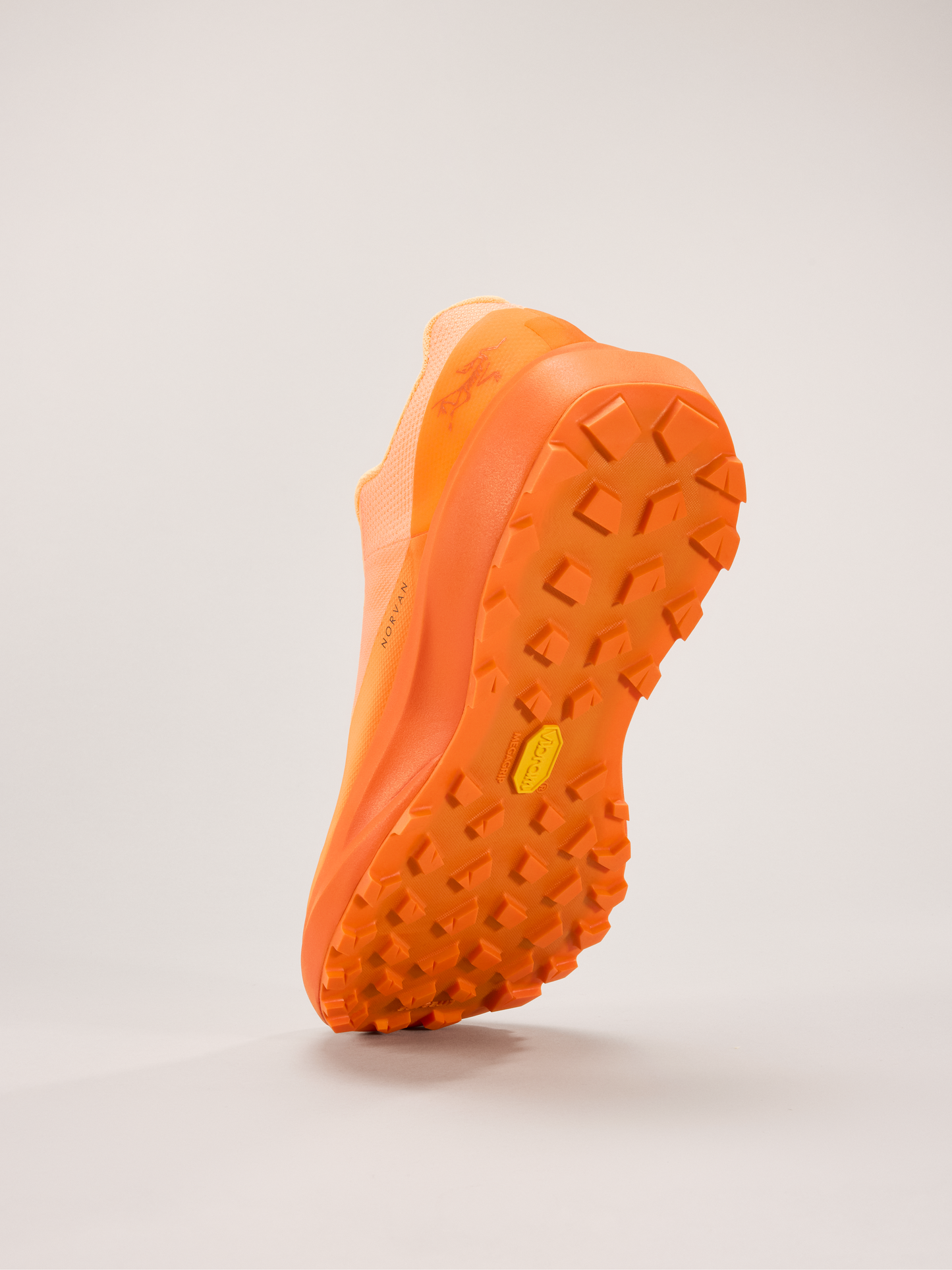 Norvan LD 4 Shoe Women's