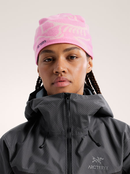 Arc'teryx Breathable Bird Head Toque Multi – Pineberry / Sea Salt