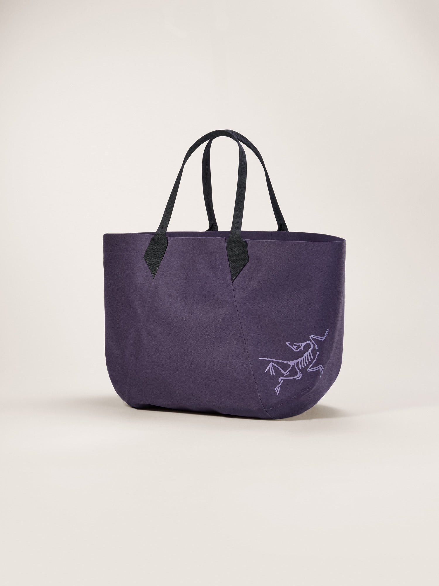 Carrier 45 Gear Tote
