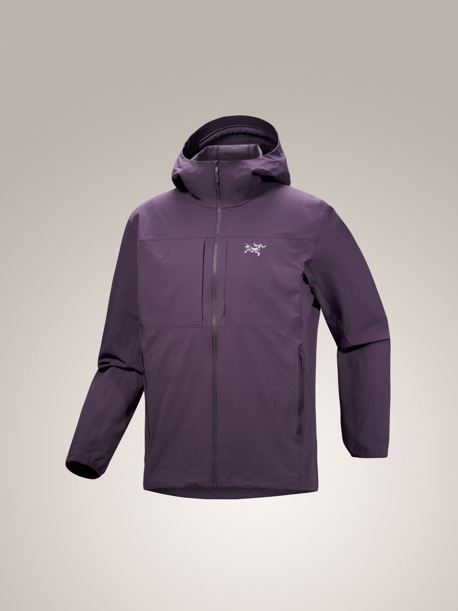 Gamma Hoody Men's