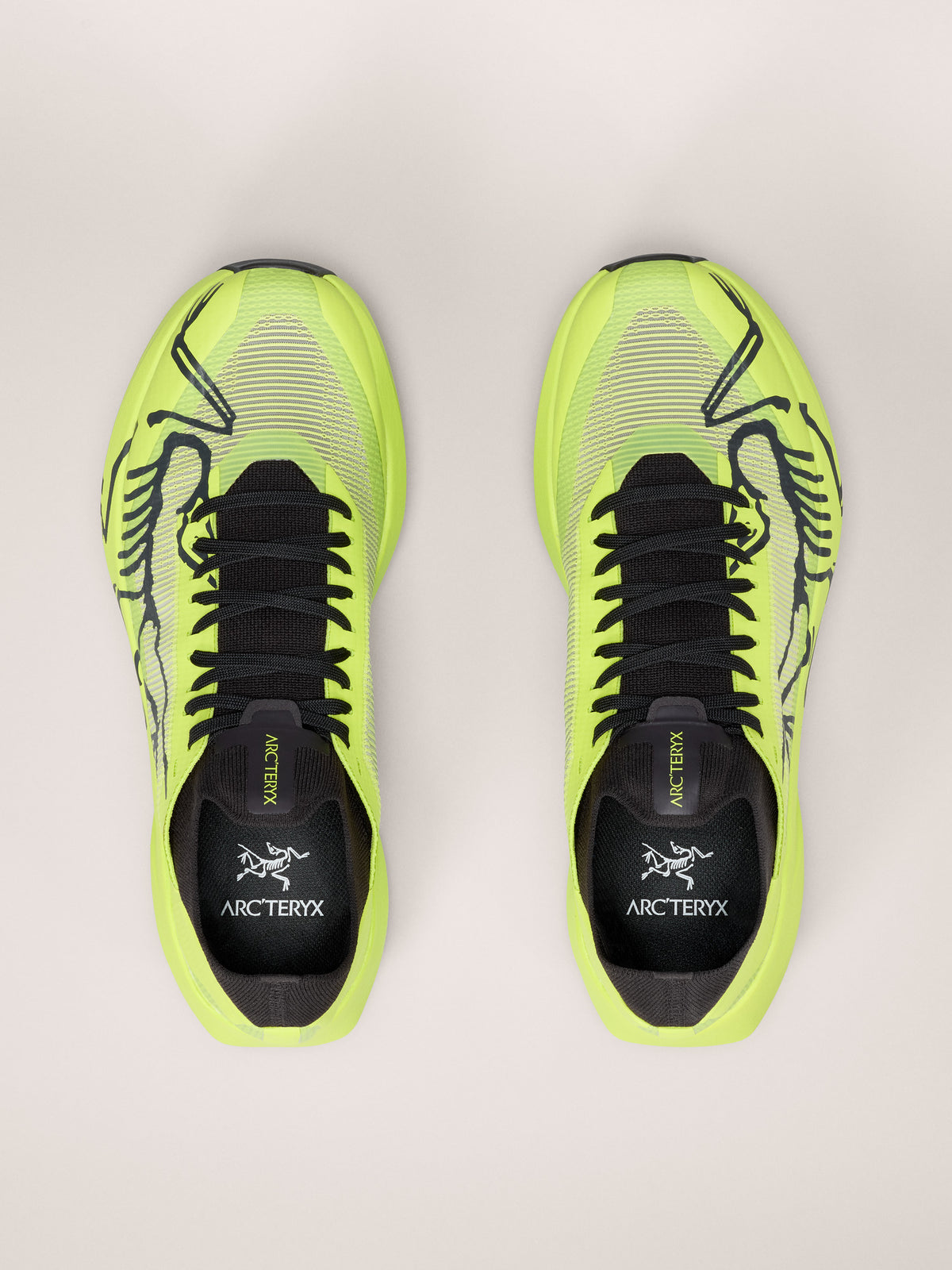 Sylan 2 Shoe Men's