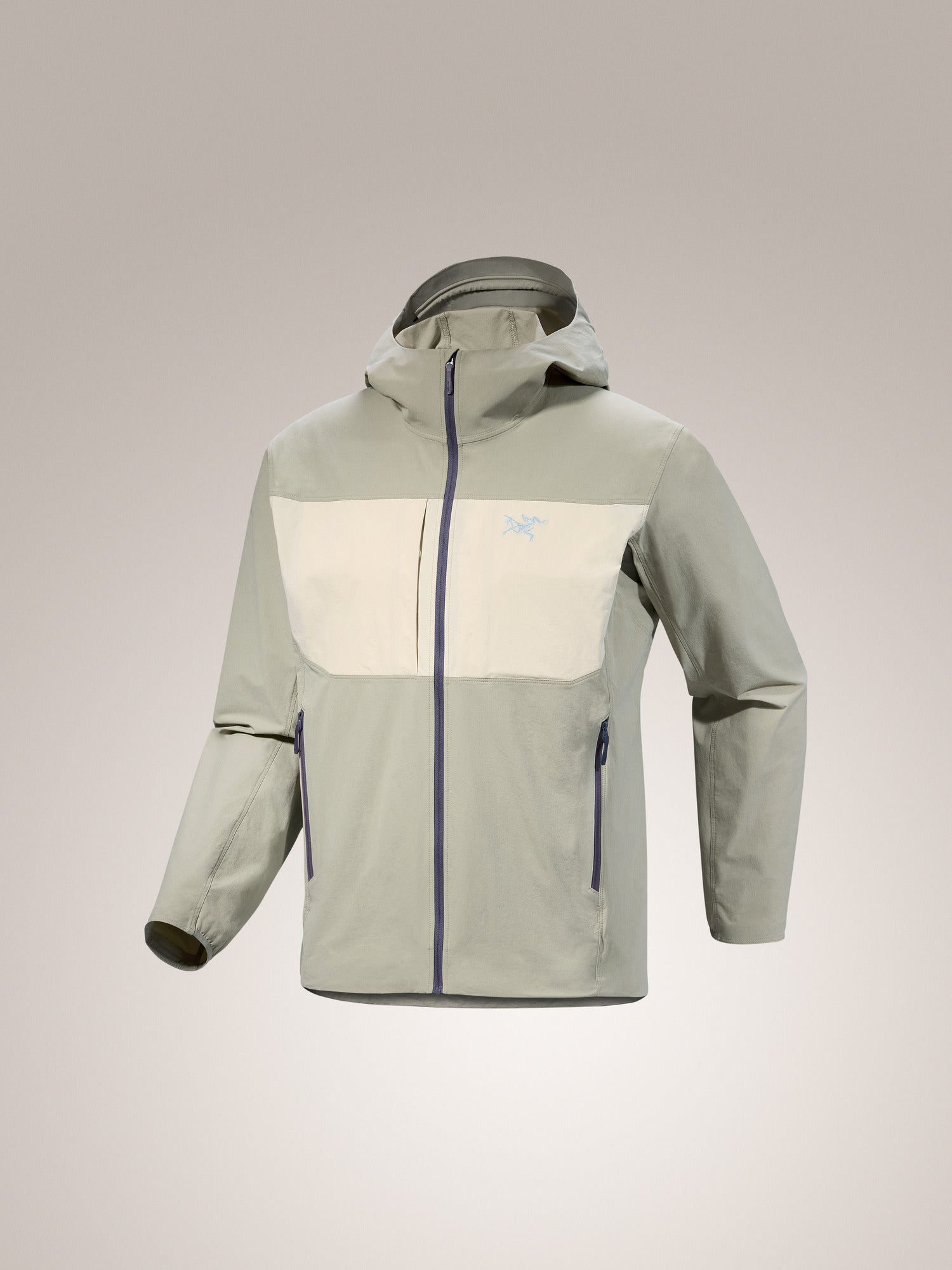 Gamma Lightweight Hoody Men's