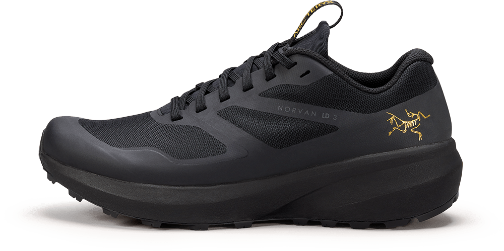 Norvan LD 3 Shoe Men's