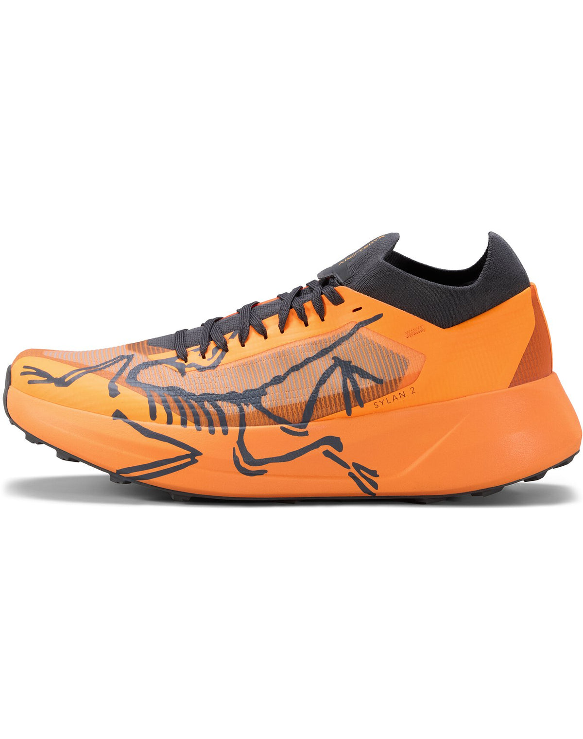 Sylan 2 Shoe Men's